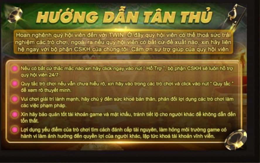 Hướng Dẫn Tân Thủ Cổng Game Twin